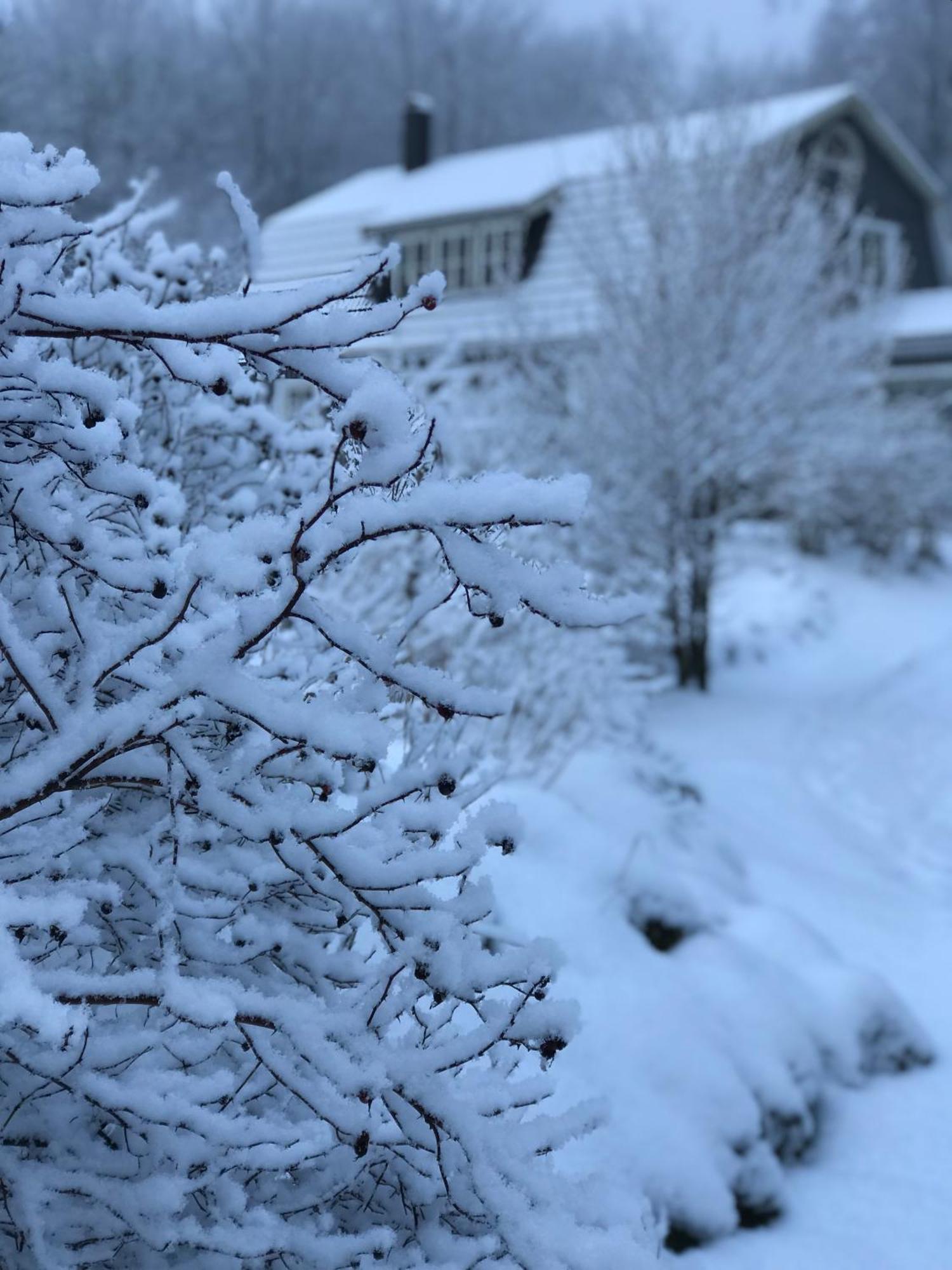 Oesterlen - Baestekille Backar Sankt Olof Bagian luar foto